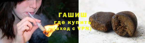 хмурый Алексин