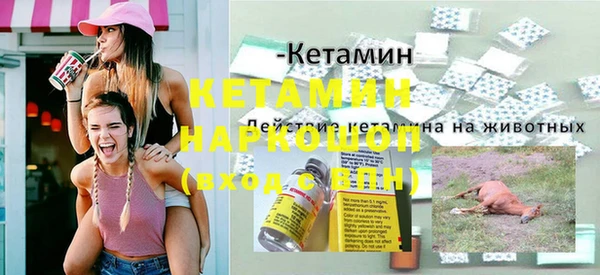 хмурый Алексин