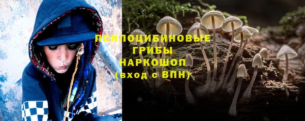 хмурый Алексин