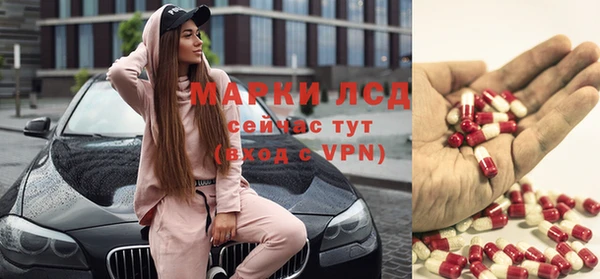 хмурый Алексин