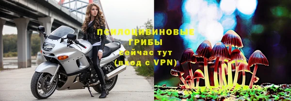 хмурый Алексин