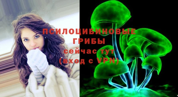 МДПВ Алексеевка