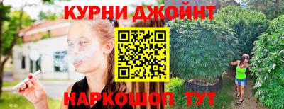 сатива Кинель