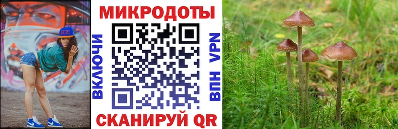как найти закладки  Кудрово  Галлюциногенные грибы Psilocybe 