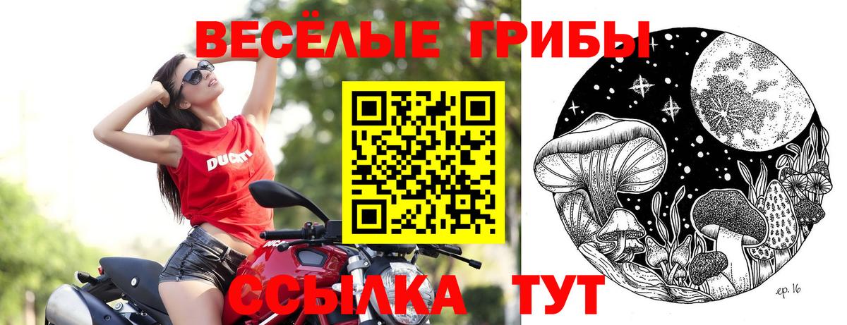Кудрово  Галлюциногенные грибы Psilocybe  Галлюциногенные грибы Cubensis  Вход с VPN 