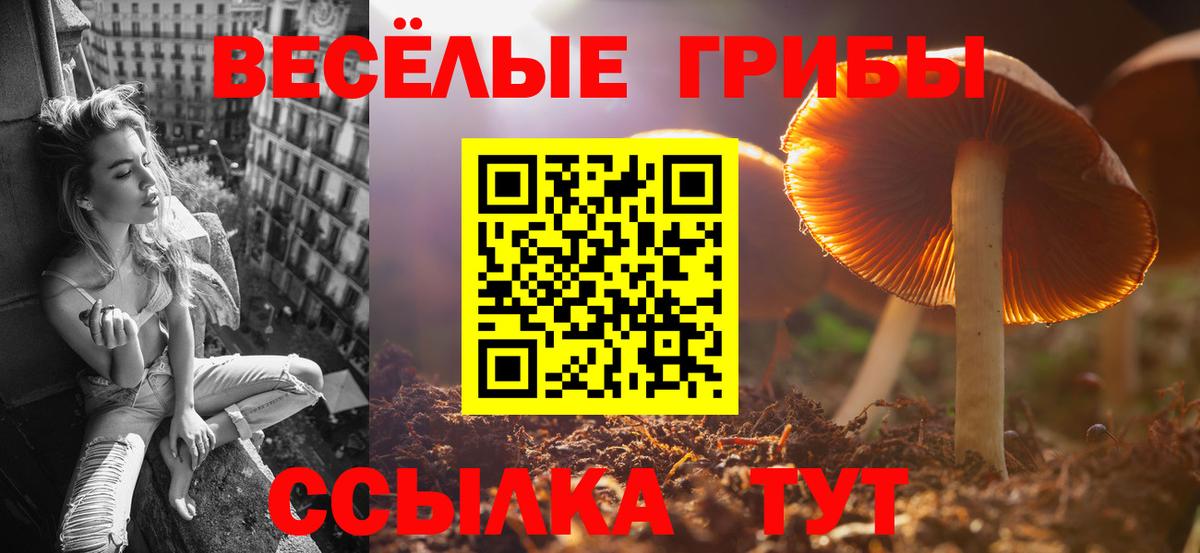 Галлюциногенные грибы Magic Shrooms Кудрово